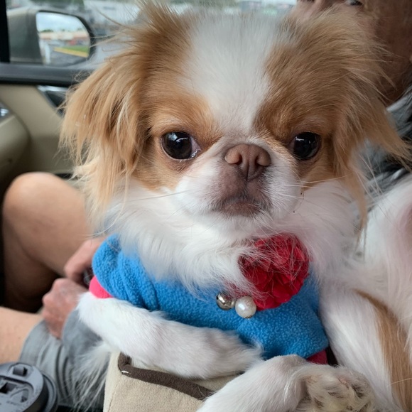 Meet your Posher, Tricia - Picture 2 of 10